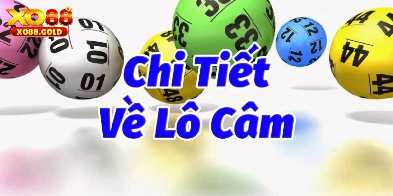 Lô Câm Là Gì? Hướng Dẫn Cách Chơi Lô Câm Hiệu Quả Nhất
