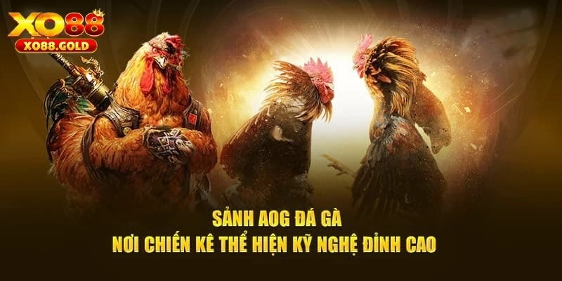 AOG Đá Gà - Sân Chơi Cho Dân Chuyên Tại Nhà Cái XO88